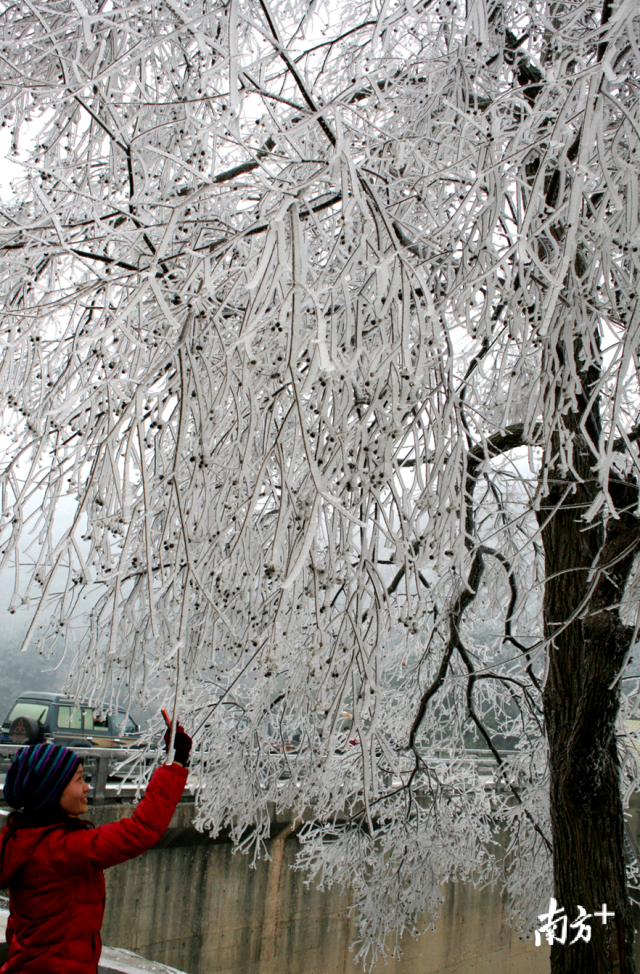 今冬的首場寒潮將于12月29日下午襲擊連州，最冷零下5度，提醒群眾做好御寒準(zhǔn)備。黃津 攝
