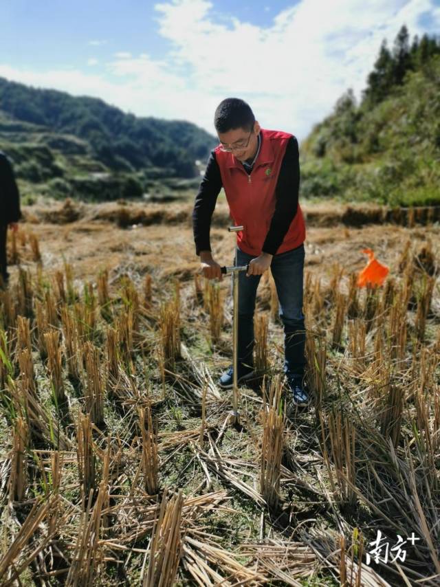技術人員深入田間地頭開展土壤取樣、分析。通訊員供圖