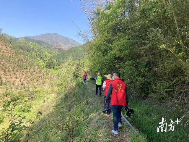 巡山。