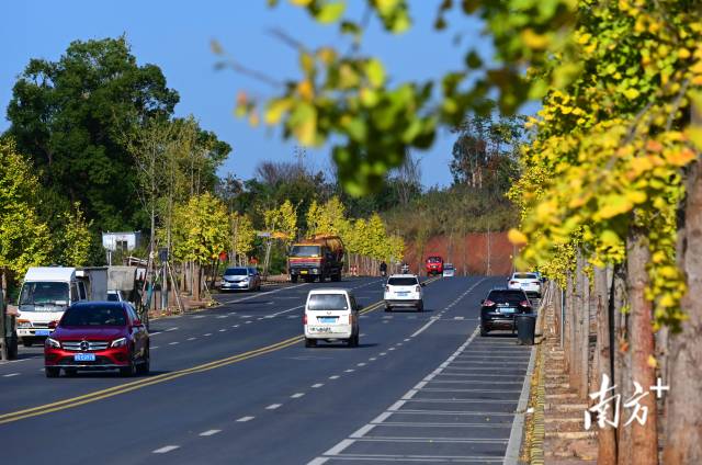 連州近5年累計(jì)投入20億元優(yōu)化升級(jí)交通設(shè)施。黃津 攝