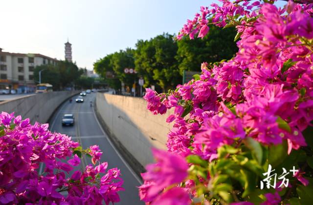 連州織就一張“外聯(lián)內(nèi)暢、城鄉(xiāng)融合”的立體交通藍(lán)圖。黃津 攝