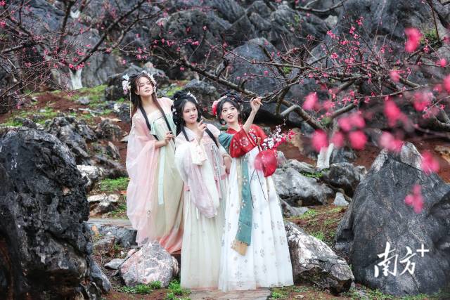 國(guó)風(fēng)少女打卡連州桃花季。