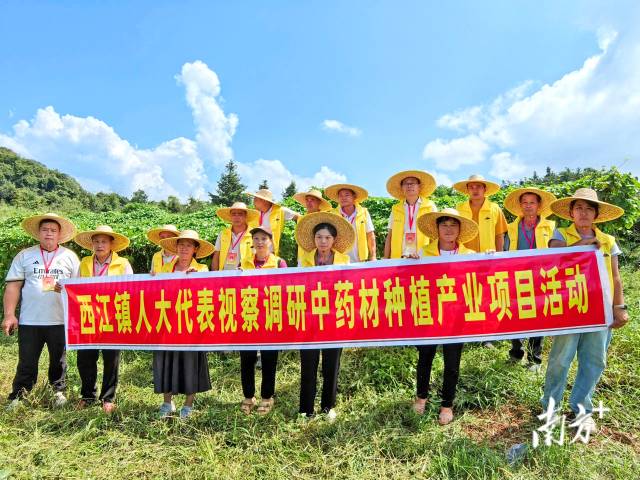 代表們實地調(diào)研，為產(chǎn)業(yè)振興培育新動能。 西江鎮(zhèn) 供圖