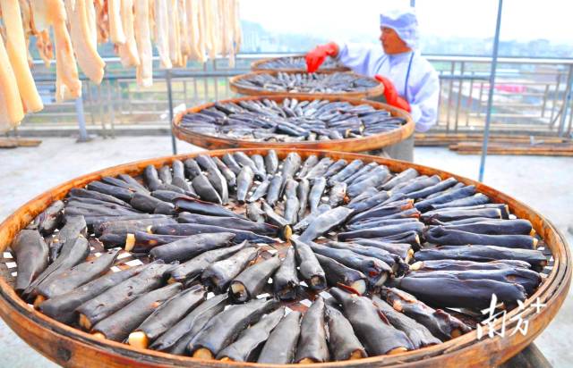 東陂鎮(zhèn)全力把東陂臘味申報為國家級非物質(zhì)文化遺產(chǎn)。黃津 攝