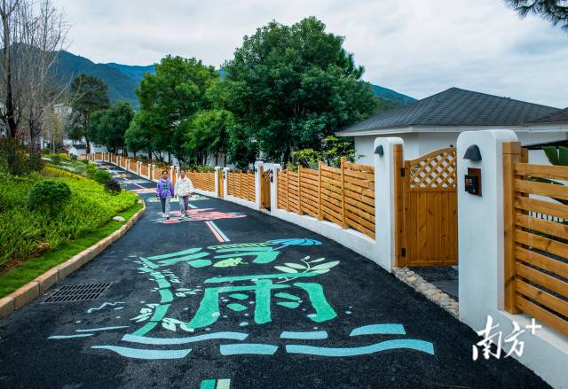 西岸鎮(zhèn)高標(biāo)準(zhǔn)推進(jìn)“古村之尚 古今共悅”古村落活化利用項目。吳秋偉 攝
