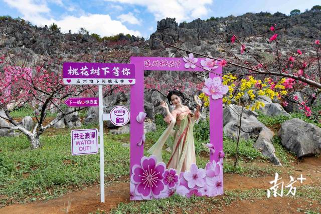連州正以滿山桃色，向八方游客發(fā)出春日邀請(qǐng)。愛(ài)地旅游 供圖
