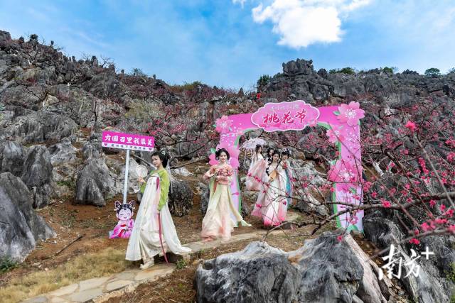 石林桃園依托獨(dú)特地貌打造，還布置了桃花主題打卡點(diǎn)。愛(ài)地旅游 供圖